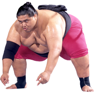 Sumo PNG-55599